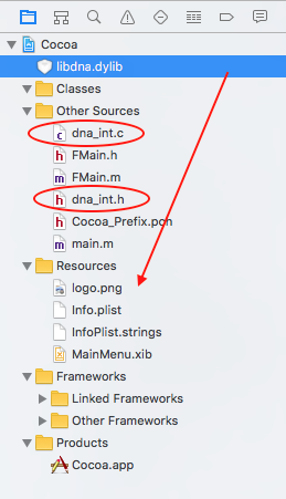 XCode Move files