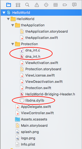 XCode Move files